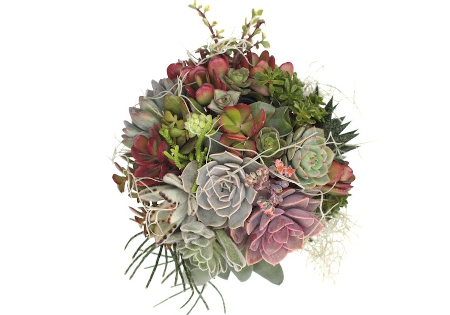 Bouquet con piante succulente